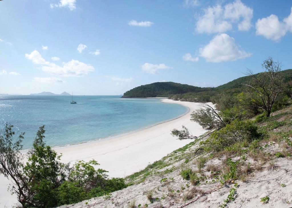 Poinciana 112 Lägenhet Hamilton Island Exteriör bild