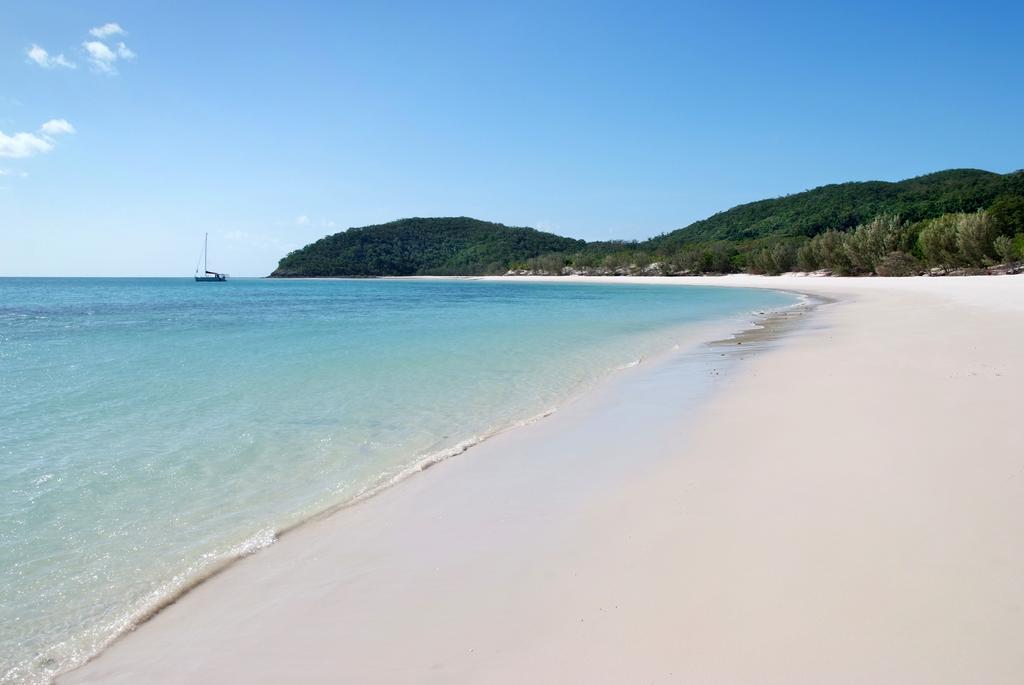 Poinciana 112 Lägenhet Hamilton Island Exteriör bild